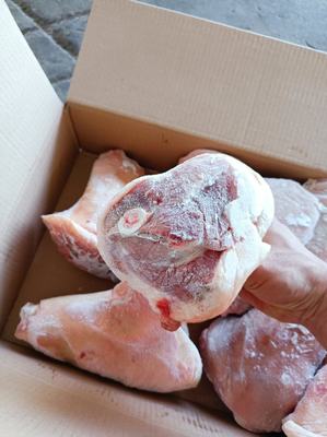 山東臨沂蘭山區(qū)豬副產(chǎn)品批發(fā)概覽 優(yōu)質(zhì)豬肘子，價(jià)格親民